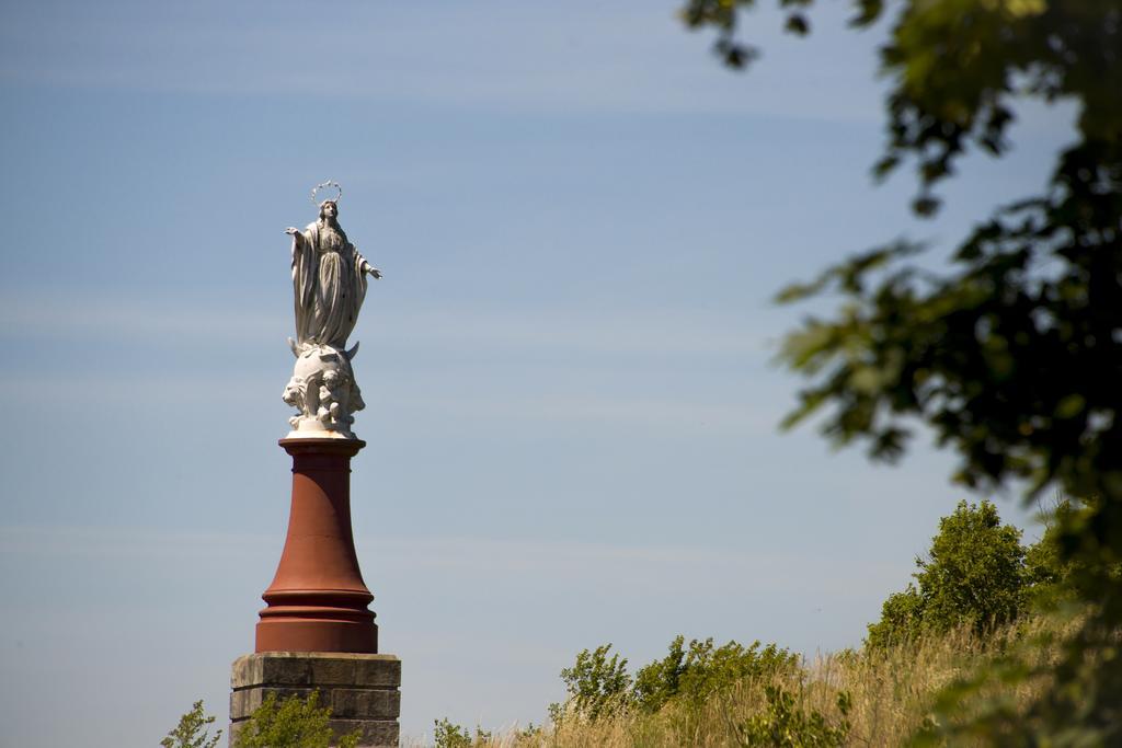 Vacanceole - Domaine Du Green Rivieres  Екстер'єр фото